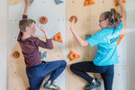 Kletterwand BK INDOOR aus 4 Teilen | 236 cm x 156 cm | inkl. 30 Griffen | 80 Loch - Kletterling – einfach Kind sein