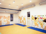 Kletterwand BK INDOOR aus 10 Teilen | 236 cm x 390 cm | inkl. 75 Griffen | 200 Loch - Kletterling – einfach Kind sein