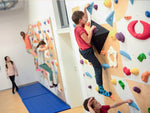 Kletterwand BK INDOOR aus 10 Teilen | 236 cm x 390 cm | inkl. 75 Griffen | 200 Loch - Kletterling – einfach Kind sein