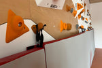 Kletterwand BK INDOOR aus 8 Teilen | 236 cm x 312 cm | inkl. 60 Griffen | 160 Loch - Kletterling – einfach Kind sein